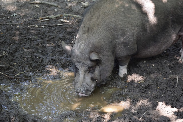 典成为了众 典成为了众