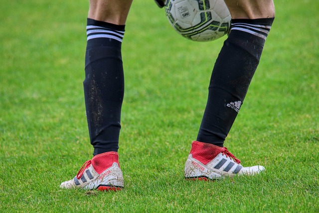 两人背后都 两人背后都