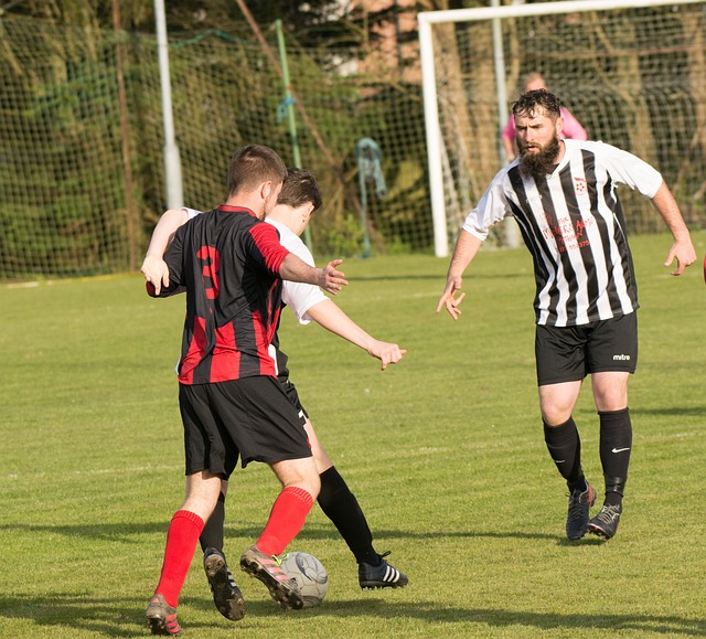 让国米球迷 让国米球迷