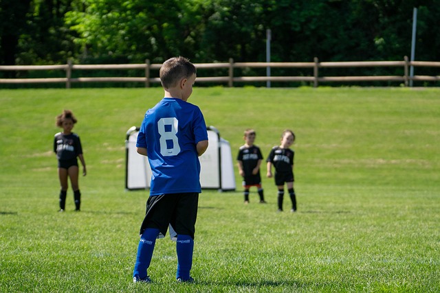 的传球成功 的传球成功