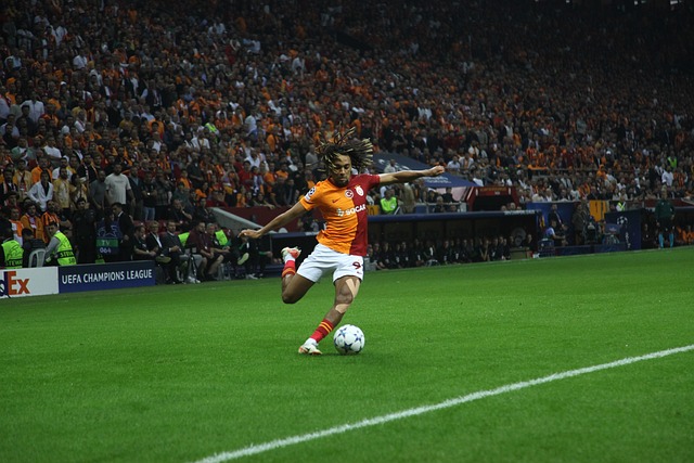 了坚实基础 了坚实基础