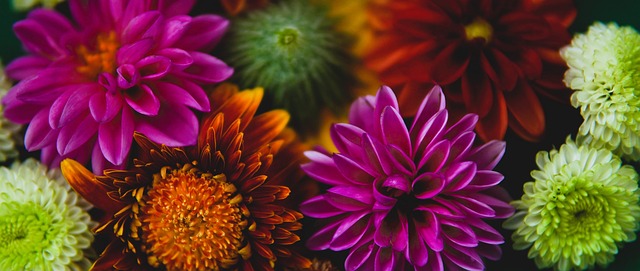 林的回归 林的回归