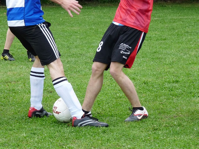 年轻球员可 年轻球员可