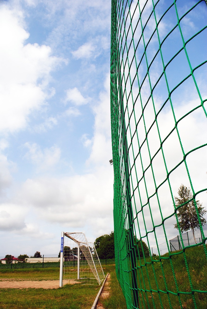 的巨大转变 的巨大转变