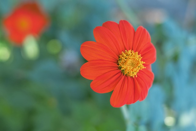的最佳状态 的最佳状态